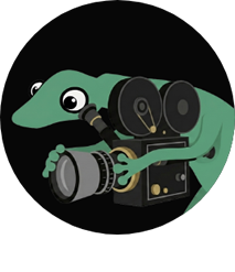 Lagartixa Filmes